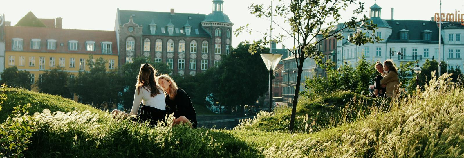 fire unge sidder ved søerne i København